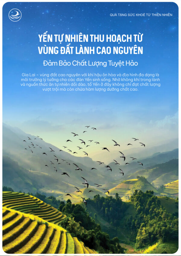 Ảnh giới thiệu Yến Chưng Ăn Kiêng NestGia 70ml - 5