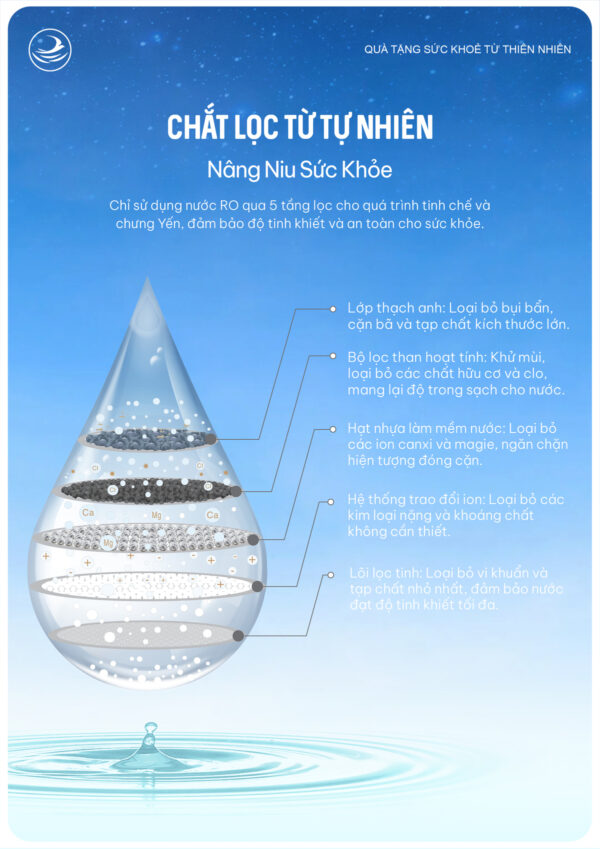 Ảnh giới thiệu Yến Chưng Ăn Kiêng NestGia 70ml - 8