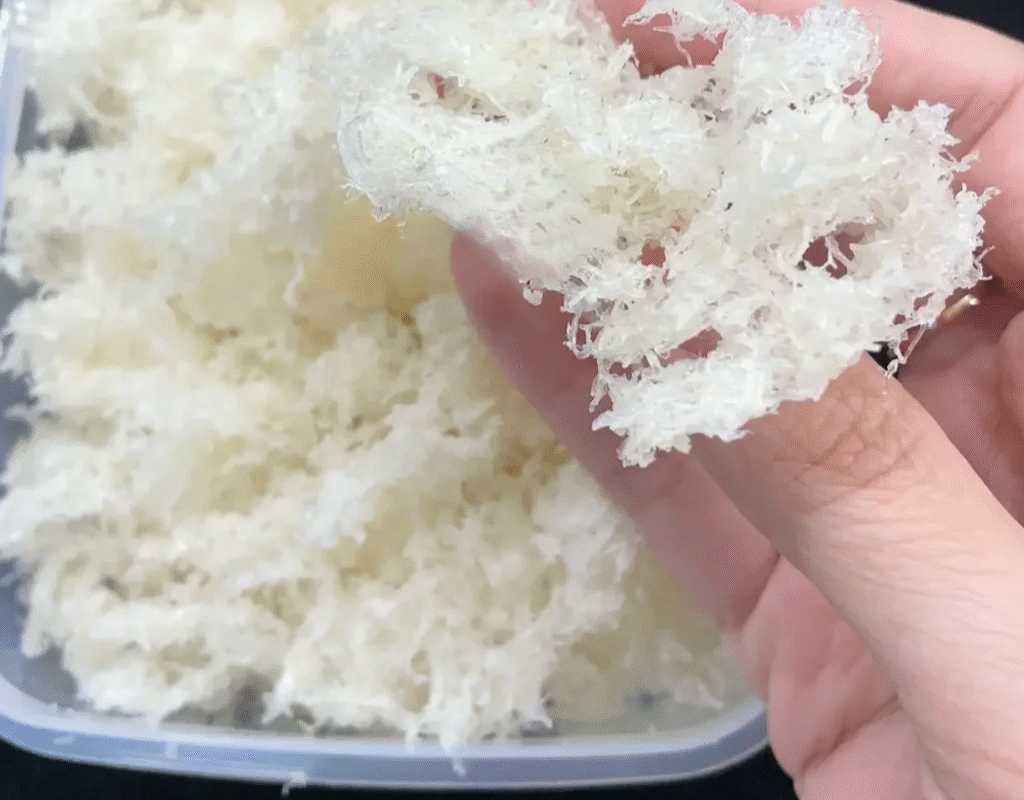 Cách chọn yến vụn chất lượng để chưng