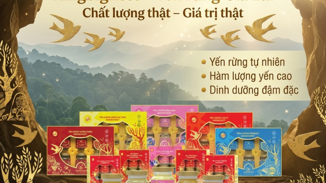 Yến rừng Gia Lai - Yến thật – Giá trị thật từ thiên nhiên