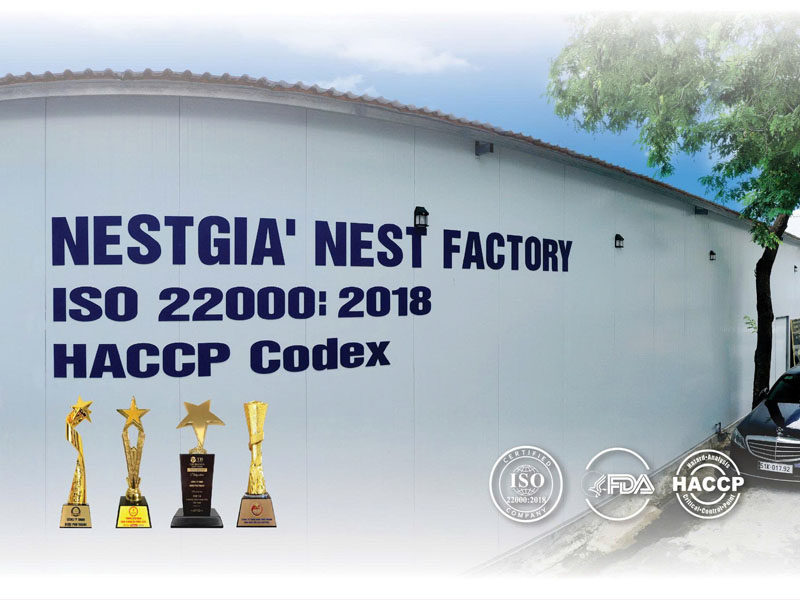 Lựa chọn NestGia, lựa chọn nơi gửi gắm sự quan tâm chân thành đến sức khoẻ của ba mẹ