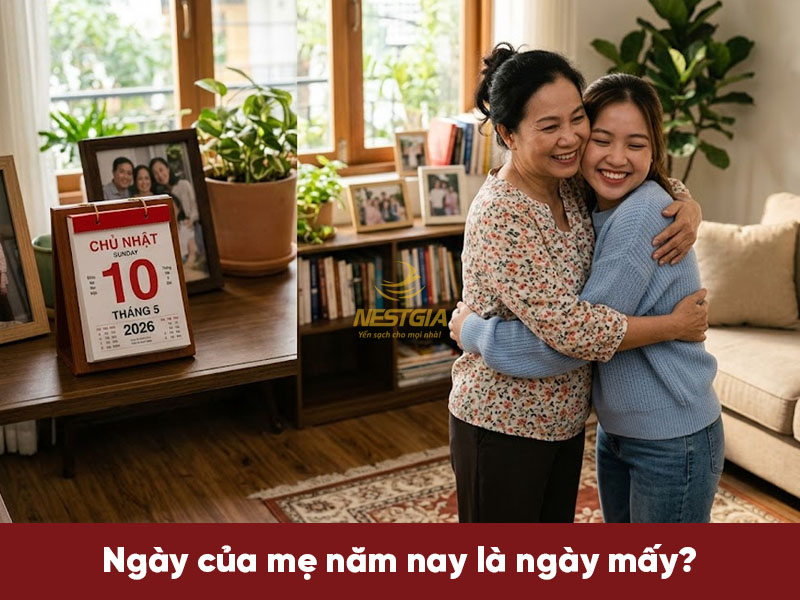 Năm 2026. ngày của mẹ là ngày nào?