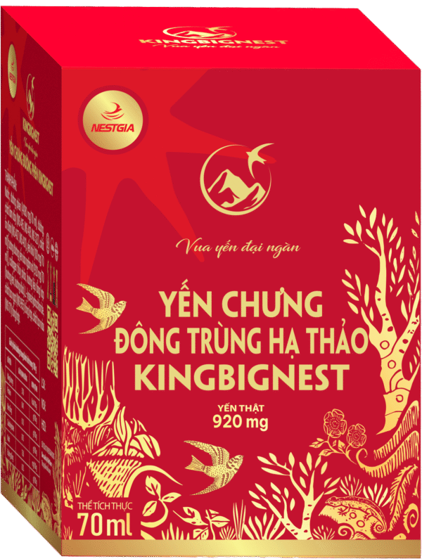 Hộp 1 Yến Chưng Đông Trùng Hạ Thảo KingBigNest