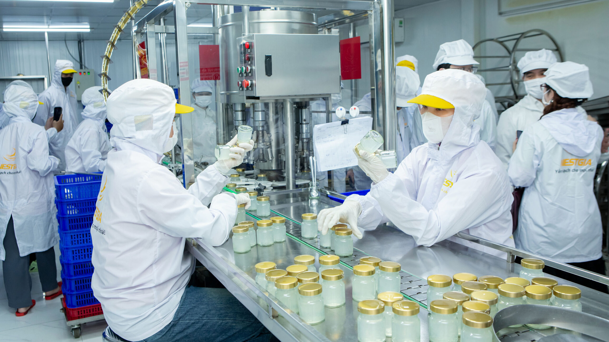 Nhà máy sản xuất yến sào NestGia với diện tích 2.000m² đạt tiêu chuẩn quốc tế ISO, HACCP, FDA Hoa Kỳ